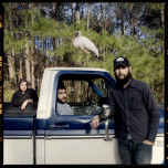 Band of Horses