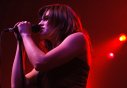 the donnas 