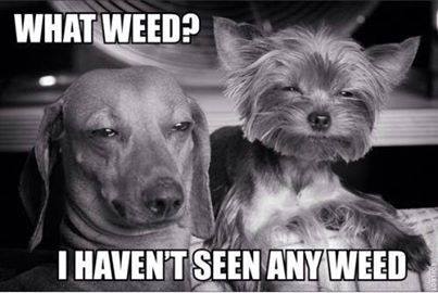420