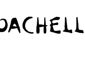 Lie Witness News – Coachella 2013 Lie Witness News – Coachella 2013
