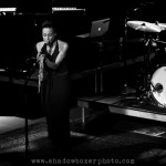 Fiona Apple AMG-8
