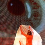 Flaming Lips-Tabernacle 5.19.11-19-2