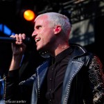 Neon Trees (7)