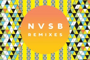 Bassnectar Releases NVSB Remixes + New Single Bassnectar Releases NVSB Remixes + New Single