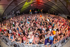 AMG’s Summer Music Festival Guide AMG’s Summer Music Festival Guide