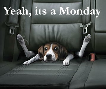 What’s Up Monday? What’s Up Monday?