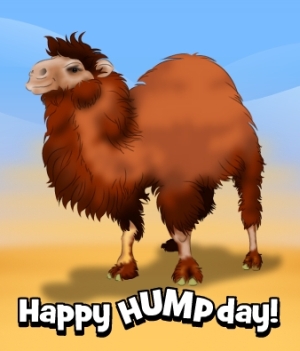 What’s Up Wednesday? What’s Up Wednesday?