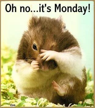 What’s Up Monday? What’s Up Monday?