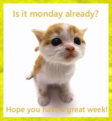What’s Up Monday? What’s Up Monday?