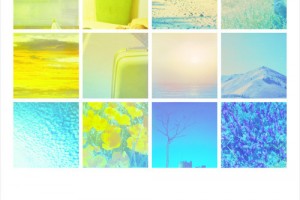 CD Review: Radiation City- Animals in the Median; Play the Earl 6/6 CD Review: Radiation City- Animals in the Median; Play the Earl 6/6