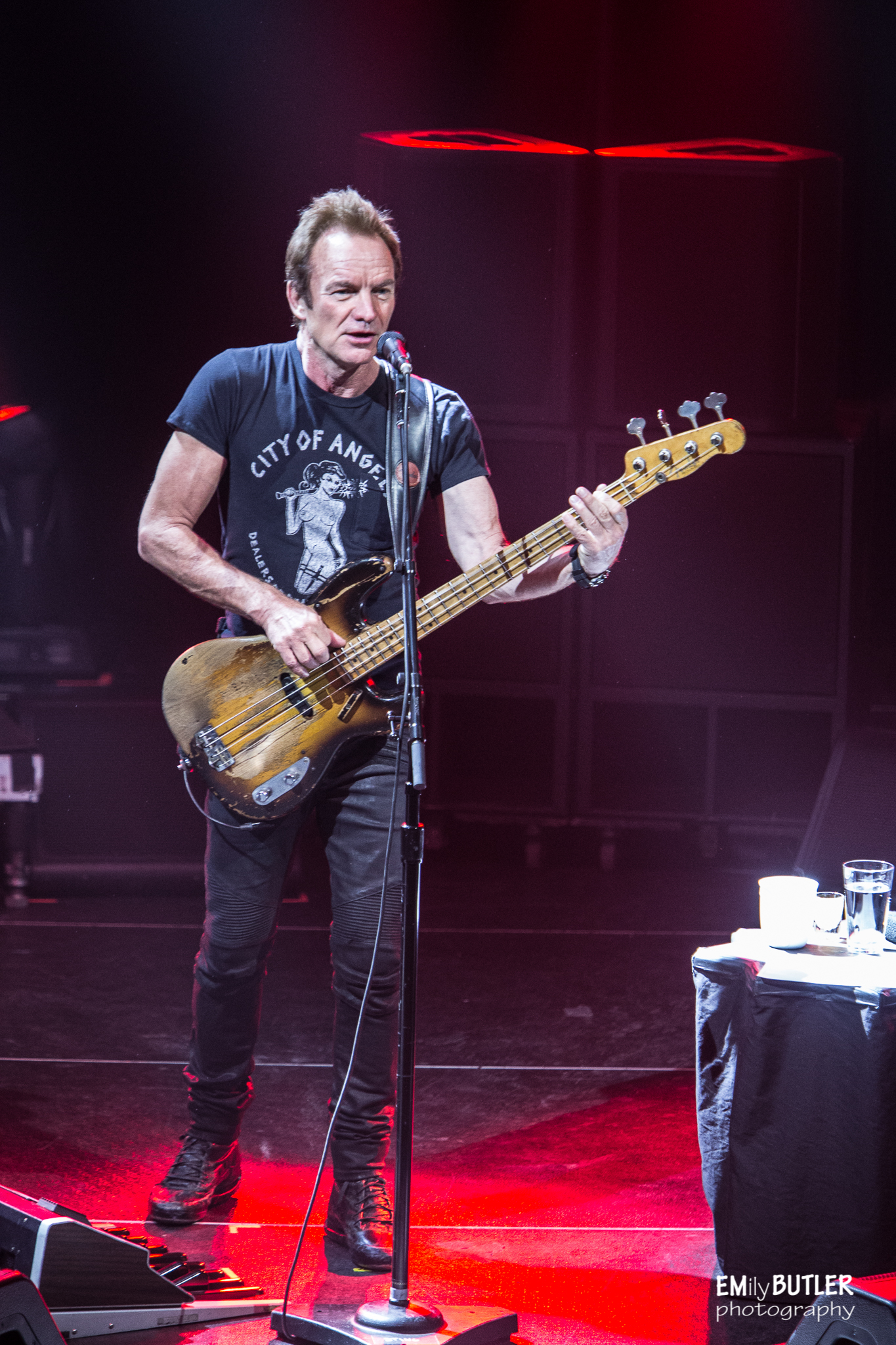 Sting Atlanta Music Guide